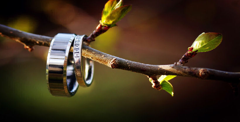 Two wedding rings on a branch